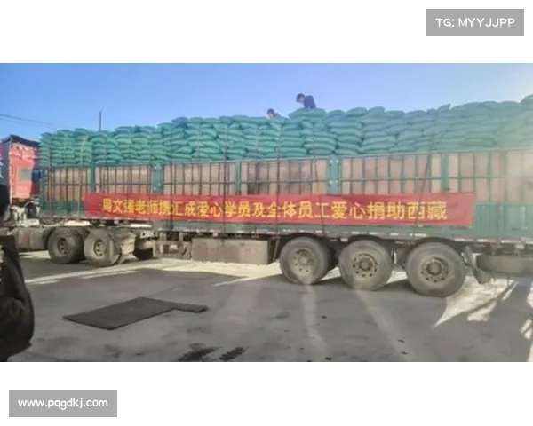 百万元捐款助力西藏地震灾后重建公益基金会全力支持灾区恢复与重建